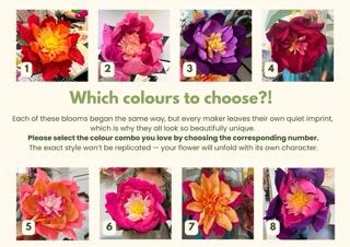 Choose your crepe colours! (1) 2 Small.jpeg
